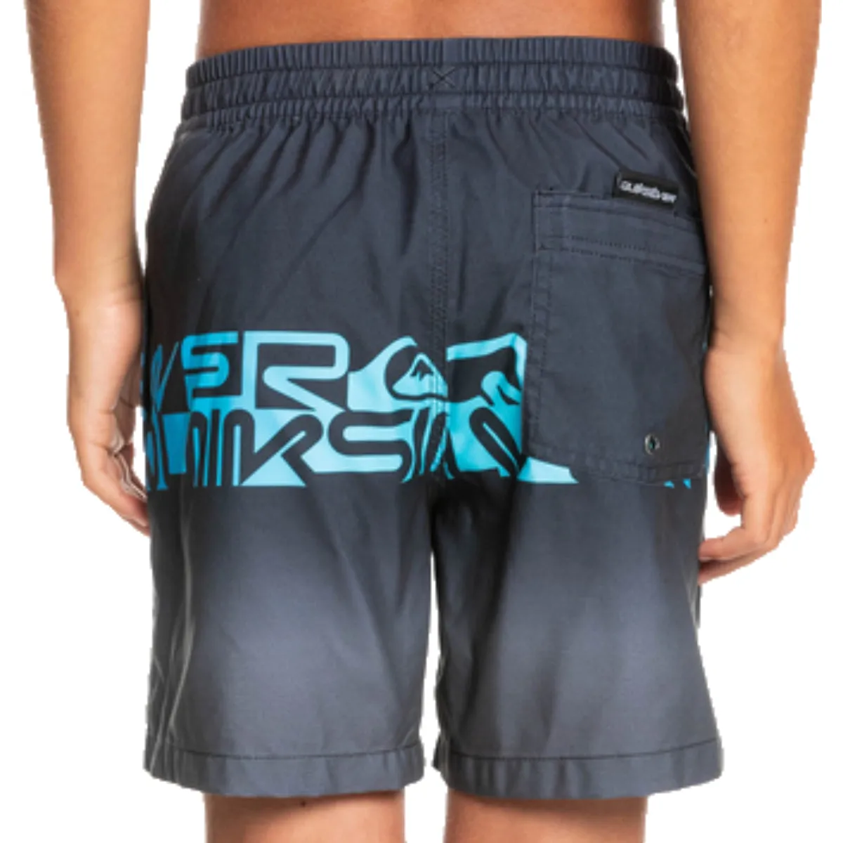 Quiksilver Youth Wordblock Volleys 14" Boardshorts